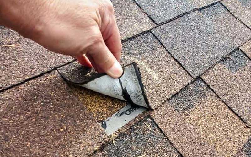 The Most Common Spring Roof Problems in Burnsville (And How to Prevent Them)