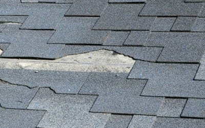 Is It Time for a New Roof? 7 Signs You Your Roof Needs to be Replaced
