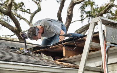5 Tips for Handling Storm Damage to Your Apple Valley Roof