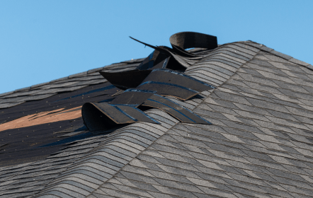 Wind Damage-min