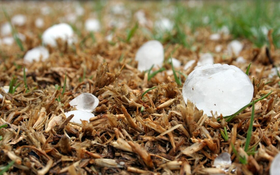 How to Tell If You Have Hail Damage on Your Minnesota Home