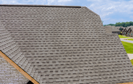 Asphalt shingle roofing