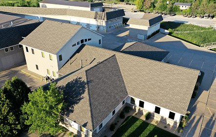 Resistant shingles